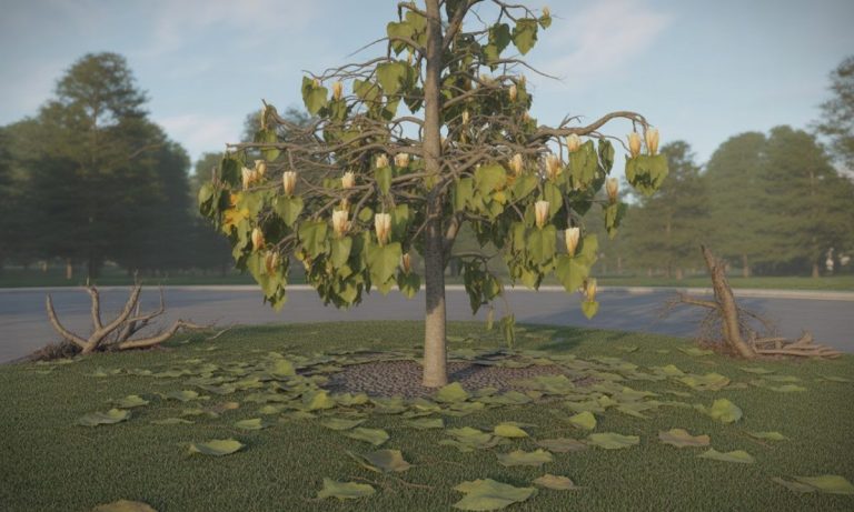 découvrez les principaux inconvénients du tulipier de virginie pour mieux choisir cet arbre dans votre jardin.